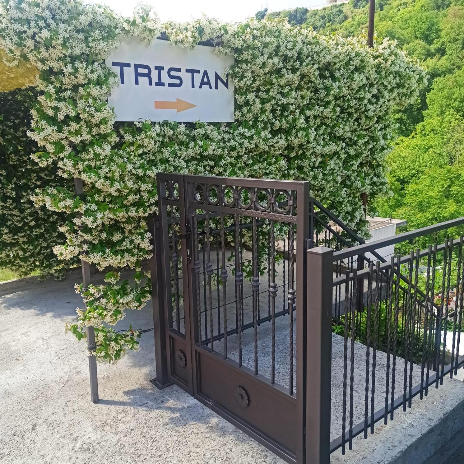 הרצג-נובי Apartman Tristan מראה חיצוני תמונה